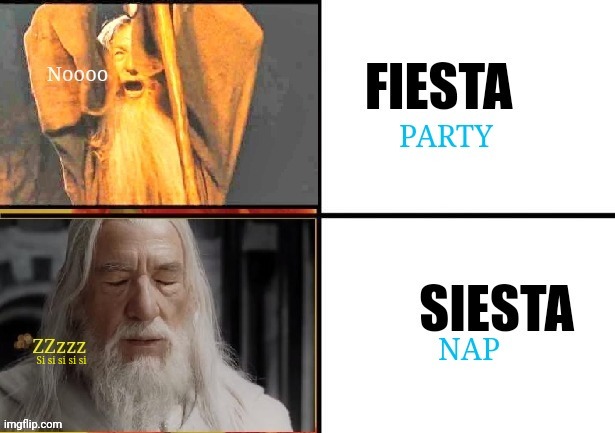 Party or nap | Si si si si si | image tagged in gandalf you shall not pass,gandalf approves,lotr,party,nap,no yes | made w/ Imgflip meme maker