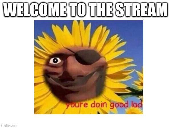 First post | WELCOME TO THE STREAM | made w/ Imgflip meme maker