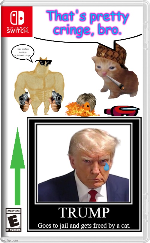 A Leak from the First E3 for 2024! | That's pretty cringe, bro. I can confirm that this is, indeed, cringe. TRUMP; Goes to jail and gets freed by a cat. | image tagged in nintendo switch,donald trump,buff doge,amogus,demotivational,upvote if you agree | made w/ Imgflip meme maker