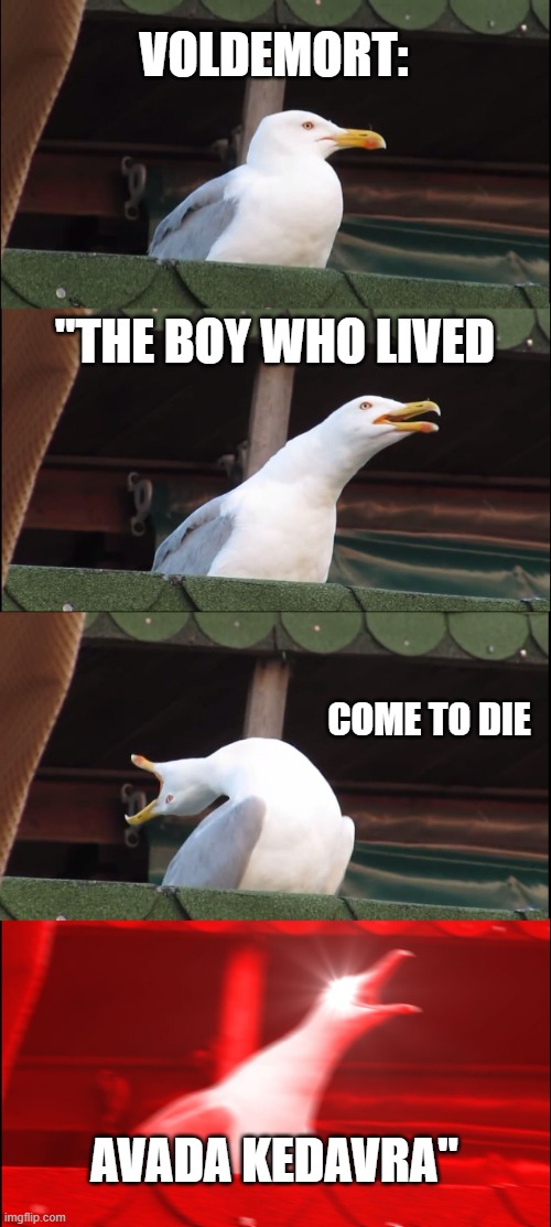 just some random meme about Harry Potter | VOLDEMORT:; "THE BOY WHO LIVED; COME TO DIE; AVADA KEDAVRA" | image tagged in memes,inhaling seagull,voldemort,made on france,harry potter meme | made w/ Imgflip meme maker