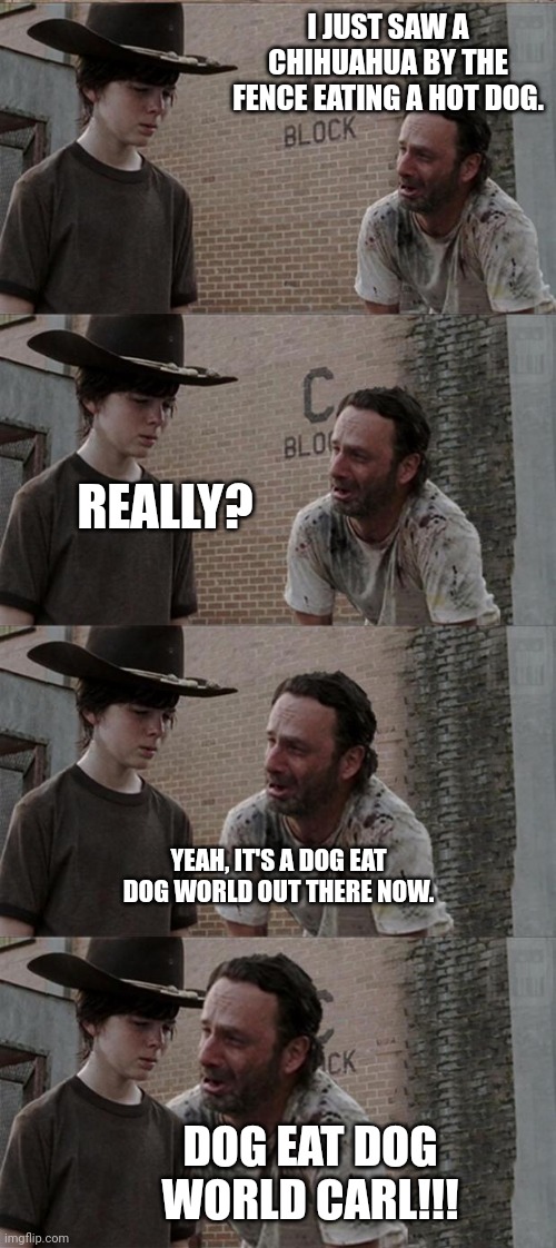 Rick and Carl Long Meme | I JUST SAW A CHIHUAHUA BY THE FENCE EATING A HOT DOG. REALLY? YEAH, IT'S A DOG EAT DOG WORLD OUT THERE NOW. DOG EAT DOG WORLD CARL!!! | image tagged in memes,rick and carl long | made w/ Imgflip meme maker