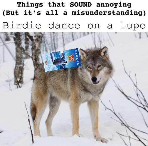 Things that SOUND annoying
(But it’s all a misunderstanding); Birdie dance on a lupe | image tagged in blank white template,wordplay,film,animals,annoying,songs | made w/ Imgflip meme maker