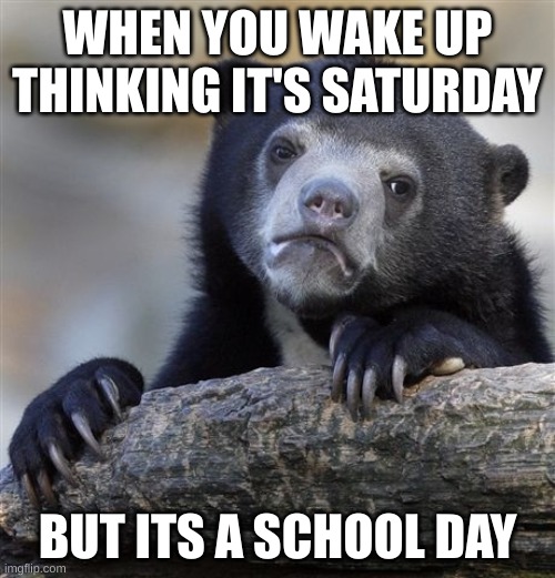 Confession Bear | WHEN YOU WAKE UP THINKING IT'S SATURDAY; BUT ITS A SCHOOL DAY | image tagged in memes,confession bear | made w/ Imgflip meme maker