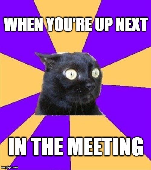 Up next in the meeting | WHEN YOU'RE UP NEXT; IN THE MEETING | image tagged in anxiety cat,meeting,meeting room,jour fixe,funny memes | made w/ Imgflip meme maker