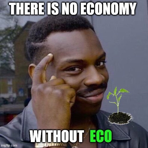 Thinking Black Guy | THERE IS NO ECONOMY; WITHOUT; ECO | image tagged in thinking black guy | made w/ Imgflip meme maker