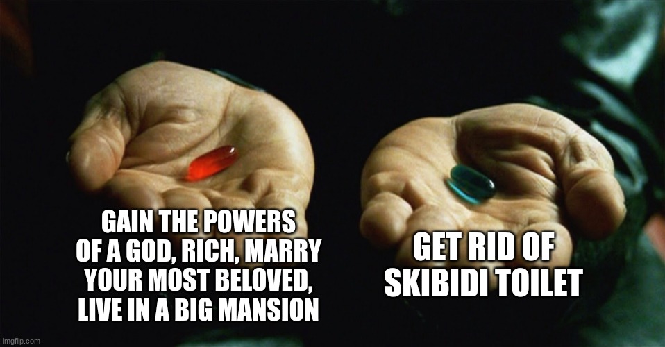 A Hard Choice Aint It? | GAIN THE POWERS OF A GOD, RICH, MARRY YOUR MOST BELOVED, LIVE IN A BIG MANSION; GET RID OF SKIBIDI TOILET | image tagged in red pill blue pill,funny meme | made w/ Imgflip meme maker