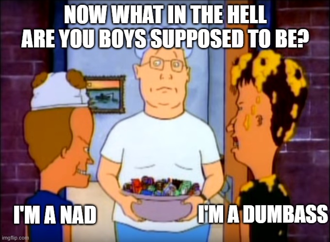 What The Hell Are You Supposed To Be? | NOW WHAT IN THE HELL ARE YOU BOYS SUPPOSED TO BE? I'M A DUMBASS; I'M A NAD | image tagged in beavis and butthead,mr anderson,halloween | made w/ Imgflip meme maker