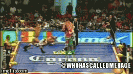 84m76.gif