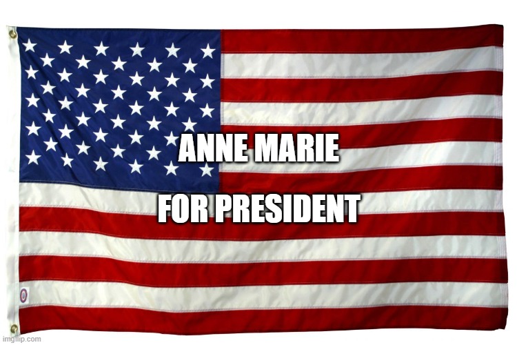 American flag  | ANNE MARIE; FOR PRESIDENT | image tagged in american flag | made w/ Imgflip meme maker
