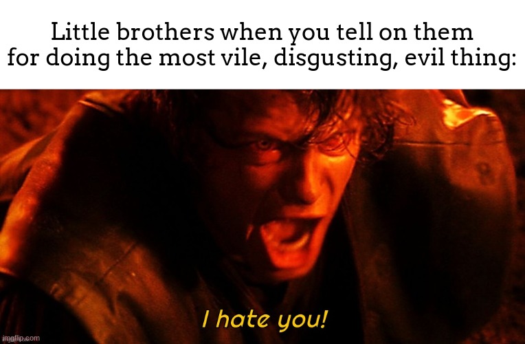 even if its for a good cause | Little brothers when you tell on them for doing the most vile, disgusting, evil thing: | image tagged in i hate you | made w/ Imgflip meme maker