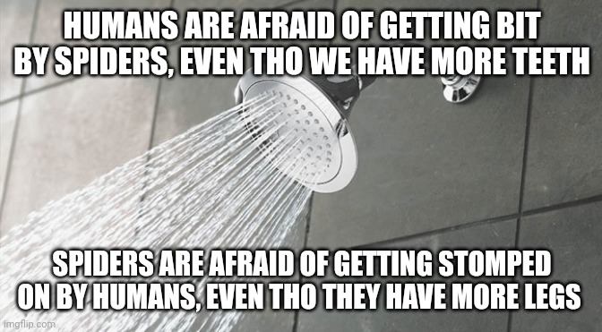 Shower Thoughts | HUMANS ARE AFRAID OF GETTING BIT BY SPIDERS, EVEN THO WE HAVE MORE TEETH; SPIDERS ARE AFRAID OF GETTING STOMPED ON BY HUMANS, EVEN THO THEY HAVE MORE LEGS | image tagged in shower thoughts | made w/ Imgflip meme maker