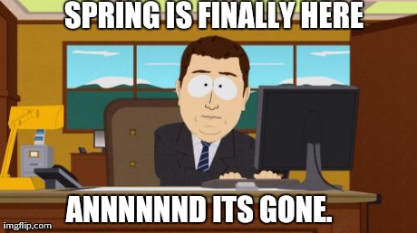 Aaaaand Its Gone | SPRING IS FINALLY HERE ANNNNNND ITS GONE. | image tagged in memes,aaaaand its gone,AdviceAnimals | made w/ Imgflip meme maker