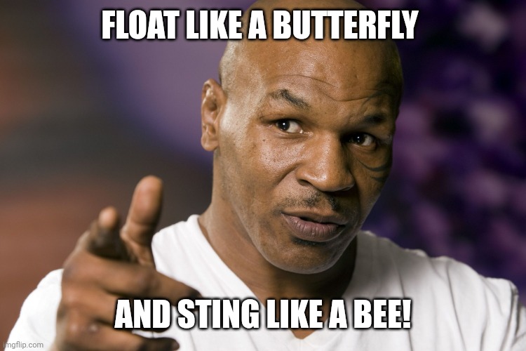 Even 30 years later... | FLOAT LIKE A BUTTERFLY; AND STING LIKE A BEE! | image tagged in mike tyson | made w/ Imgflip meme maker