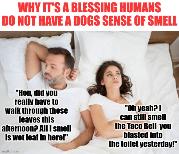 Having a superior sense of smell would really be a nightmare, if you think about it... | WHY IT'S A BLESSING HUMANS DO NOT HAVE A DOGS SENSE OF SMELL; "Hon, did you really have to walk through those leaves this afternoon? All I smell is wet leaf in here!"; "Oh yeah? I can still smell the Taco Bell  you blasted into the toilet yesterday!" | image tagged in man and woman in bed,smells,dogs,thinking,superheroes,nose | made w/ Imgflip meme maker