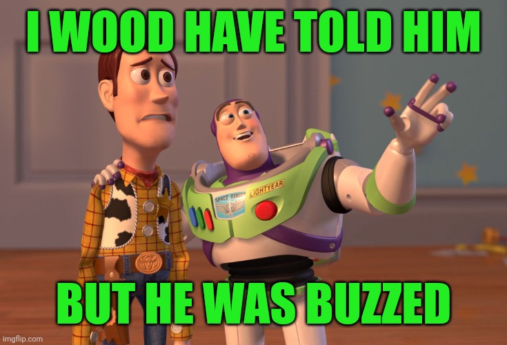 Toystory | I WOOD HAVE TOLD HIM; BUT HE WAS BUZZED | image tagged in memes,x x everywhere,funny,fun,funnymemes | made w/ Imgflip meme maker
