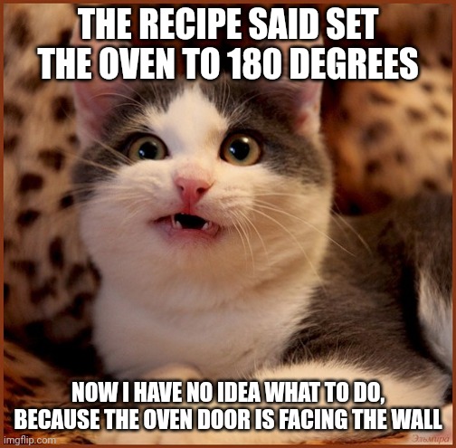 confused cat | THE RECIPE SAID SET THE OVEN TO 180 DEGREES; NOW I HAVE NO IDEA WHAT TO DO, BECAUSE THE OVEN DOOR IS FACING THE WALL | image tagged in meme,cat,oven,wall | made w/ Imgflip meme maker