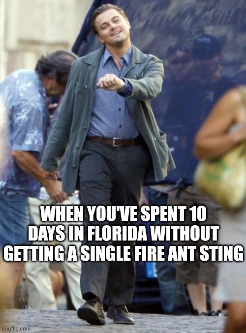 November in Florida | WHEN YOU'VE SPENT 10 DAYS IN FLORIDA WITHOUT GETTING A SINGLE FIRE ANT STING | image tagged in dicaprio walking,florida,fire ants,insects,cool bug facts,pests | made w/ Imgflip meme maker