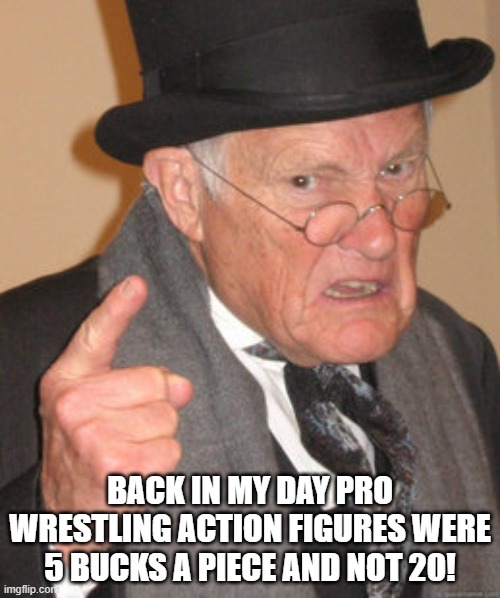 Back In My Day | BACK IN MY DAY PRO WRESTLING ACTION FIGURES WERE 5 BUCKS A PIECE AND NOT 20! | image tagged in memes,back in my day | made w/ Imgflip meme maker
