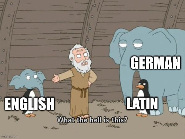 What the hell is this? | GERMAN; LATIN; ENGLISH | image tagged in what the hell is this,english,german,latin | made w/ Imgflip meme maker