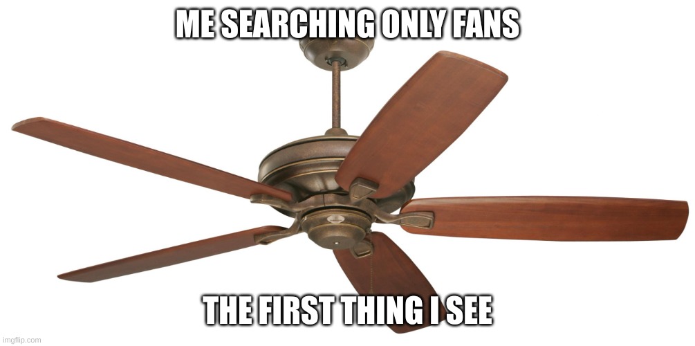 ayo what did you think | ME SEARCHING ONLY FANS; THE FIRST THING I SEE | image tagged in ceiling fan,funny memes,ayo | made w/ Imgflip meme maker