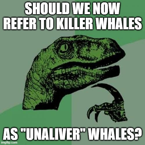 Or just replace the "I" with an asterisk? | SHOULD WE NOW REFER TO KILLER WHALES; AS "UNALIVER" WHALES? | image tagged in memes,philosoraptor,whales,killer whale,censorship,so yeah | made w/ Imgflip meme maker