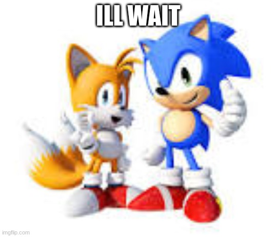sonic and tails agree | ILL WAIT | image tagged in sonic and tails agree | made w/ Imgflip meme maker