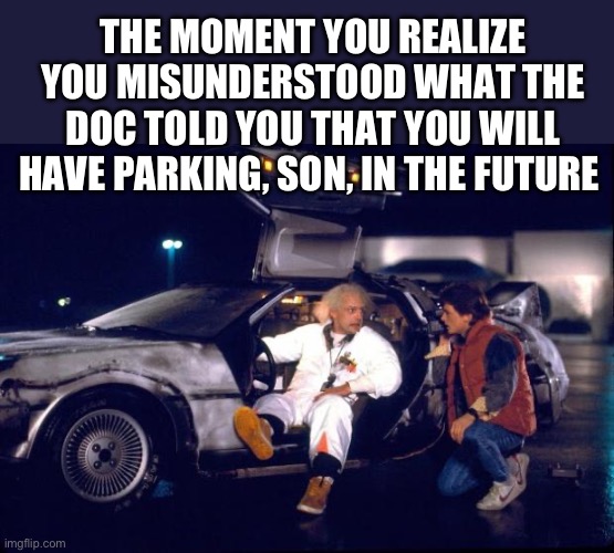Parking | THE MOMENT YOU REALIZE YOU MISUNDERSTOOD WHAT THE DOC TOLD YOU THAT YOU WILL HAVE PARKING, SON, IN THE FUTURE | image tagged in back to the future,parking | made w/ Imgflip meme maker