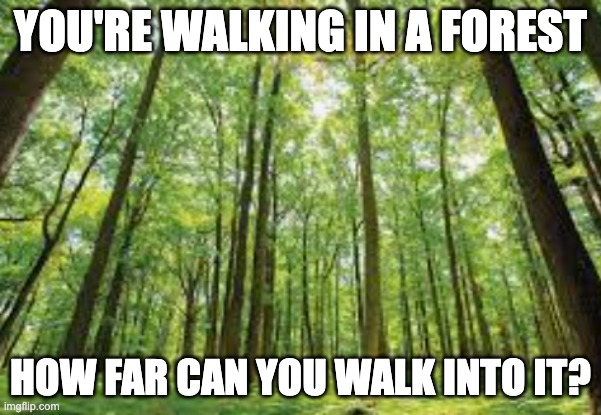 RIDDLEZ! What's the anser? | YOU'RE WALKING IN A FOREST; HOW FAR CAN YOU WALK INTO IT? | image tagged in furrfluf,riddle,forest gump,walk | made w/ Imgflip meme maker