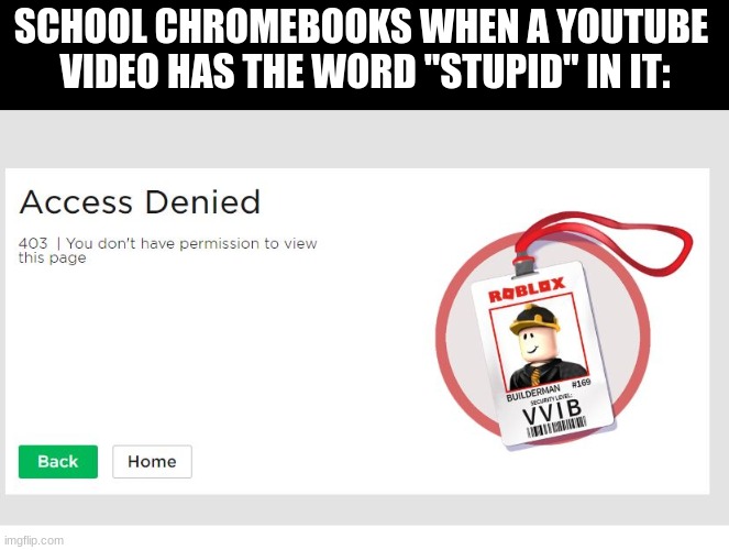 i cant even watch 8bitryan | SCHOOL CHROMEBOOKS WHEN A YOUTUBE 
VIDEO HAS THE WORD "STUPID" IN IT: | image tagged in roblox you do not have permission,youtube,chromebook | made w/ Imgflip meme maker