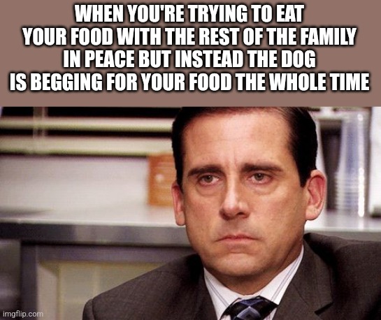 The dog: *proceeds to beg for food this whole time the family and I are eating our food* | WHEN YOU'RE TRYING TO EAT YOUR FOOD WITH THE REST OF THE FAMILY IN PEACE BUT INSTEAD THE DOG IS BEGGING FOR YOUR FOOD THE WHOLE TIME | image tagged in annoyed,memes,relatable,the office,pets can be jerks sometimes,the truth hurts | made w/ Imgflip meme maker