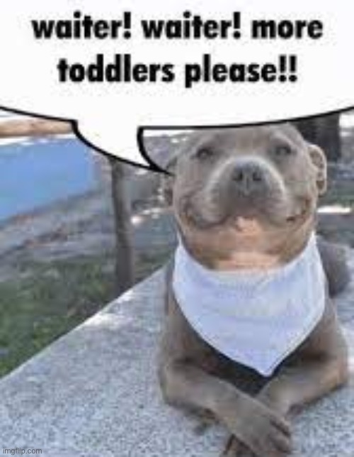 Waiter! Waiter! More toddlers please!! | image tagged in waiter waiter more toddlers please | made w/ Imgflip meme maker