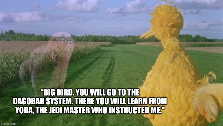 Big Bird | “BIG BIRD. YOU WILL GO TO THE DAGOBAH SYSTEM. THERE YOU WILL LEARN FROM YODA, THE JEDI MASTER WHO INSTRUCTED ME." | image tagged in memes,big bird,yoda,snuffleupagus,dagobah | made w/ Imgflip meme maker
