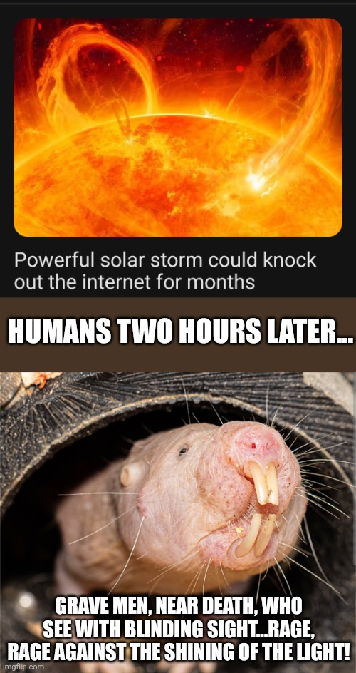 What if it really happened? | HUMANS TWO HOURS LATER... GRAVE MEN, NEAR DEATH, WHO SEE WITH BLINDING SIGHT...RAGE, RAGE AGAINST THE SHINING OF THE LIGHT! | image tagged in internet,social media,society,solar,sun,naked mole rat | made w/ Imgflip meme maker