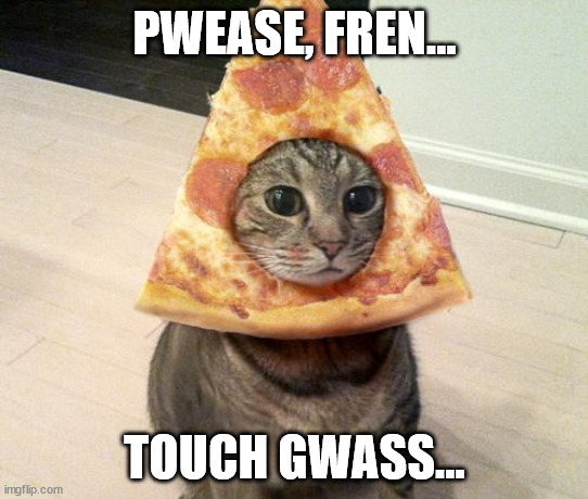 PWEASE, FREN... TOUCH GWASS... | image tagged in pizza cat | made w/ Imgflip meme maker