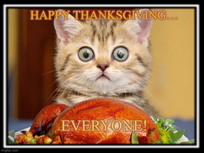 Happy Thanksgiving Kitten | HAPPY THANKSGIVING…; EVERYONE! | image tagged in funny animals | made w/ Imgflip meme maker