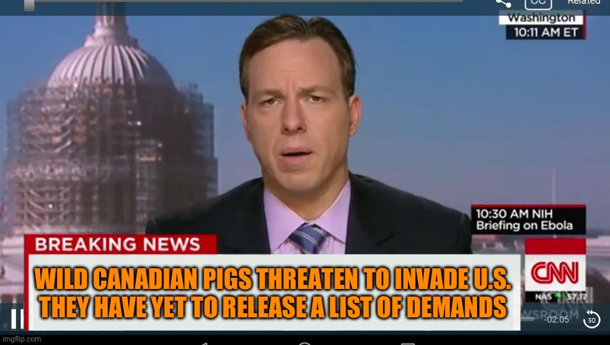 cnn breaking news template | WILD CANADIAN PIGS THREATEN TO INVADE U.S.
THEY HAVE YET TO RELEASE A LIST OF DEMANDS | image tagged in cnn breaking news template | made w/ Imgflip meme maker