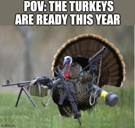 Thanksgiving Special | POV: THE TURKEYS ARE READY THIS YEAR | image tagged in turkey,thanksgiving day,thanksgiving,thanksgiving dinner,happy thanksgiving | made w/ Imgflip meme maker