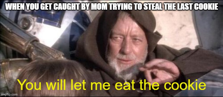 Prepare for the flip-flop | WHEN YOU GET CAUGHT BY MOM TRYING TO STEAL THE LAST COOKIE; You will let me eat the cookie | image tagged in memes,these aren't the droids you were looking for | made w/ Imgflip meme maker