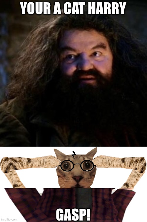 YOUR A CAT HARRY; GASP! | image tagged in you're a wizard harry,cat shocked | made w/ Imgflip meme maker