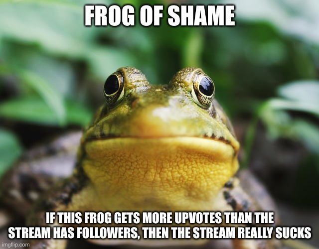 Frog of Shame | FROG OF SHAME; IF THIS FROG GETS MORE UPVOTES THAN THE STREAM HAS FOLLOWERS, THEN THE STREAM REALLY SUCKS | image tagged in frog of shame | made w/ Imgflip meme maker