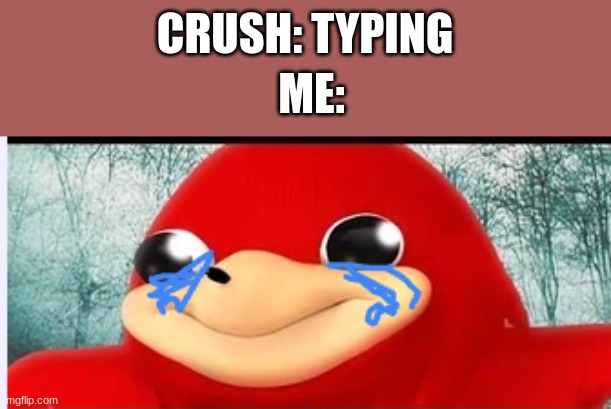 crushes be like | CRUSH: TYPING; ME: | image tagged in happy knuckles,funny memes,ugandan knuckles | made w/ Imgflip meme maker