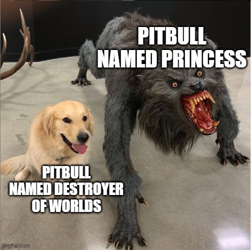 dog vs werewolf | PITBULL NAMED PRINCESS; PITBULL NAMED DESTROYER OF WORLDS | image tagged in dog vs werewolf | made w/ Imgflip meme maker