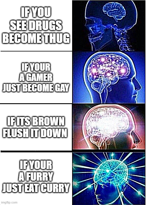 logic | IF YOU SEE DRUGS BECOME THUG; IF YOUR A GAMER JUST BECOME GAY; IF ITS BROWN FLUSH IT DOWN; IF YOUR A FURRY JUST EAT CURRY | image tagged in memes,expanding brain | made w/ Imgflip meme maker