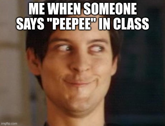 Facts | ME WHEN SOMEONE SAYS "PEEPEE" IN CLASS | image tagged in memes,spiderman peter parker | made w/ Imgflip meme maker