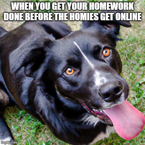 Happy dog | WHEN YOU GET YOUR HOMEWORK DONE BEFORE THE HOMIES GET ONLINE | image tagged in happy dog | made w/ Imgflip meme maker