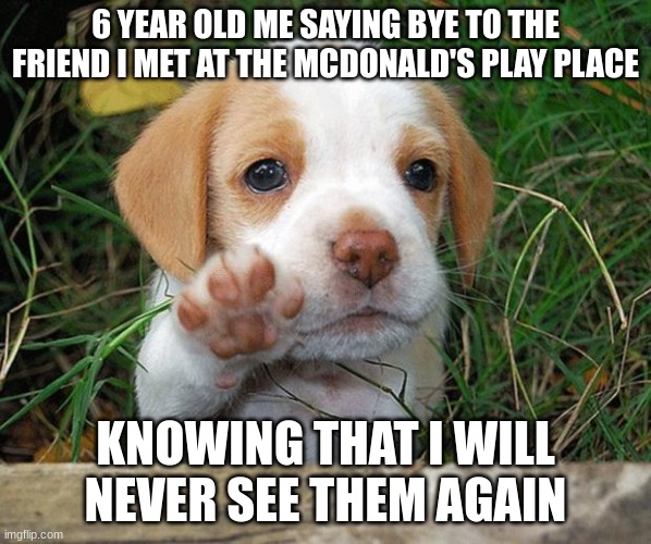 dog puppy bye | 6 YEAR OLD ME SAYING BYE TO THE FRIEND I MET AT THE MCDONALD'S PLAY PLACE; KNOWING THAT I WILL NEVER SEE THEM AGAIN | image tagged in dog puppy bye | made w/ Imgflip meme maker