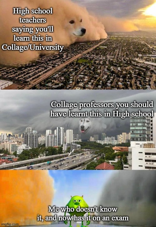 This is so true | High school teachers saying you'll learn this in Collage/University; Collage professors you should have learnt this in High school; Me who doesn't know it, and now has it on an exam | image tagged in dust doge storms and mikey caught in the middle,funny,meme,memes,funny meme,funny memes | made w/ Imgflip meme maker