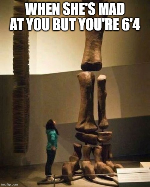 Did you hear I'm 6'4? | WHEN SHE'S MAD AT YOU BUT YOU'RE 6'4 | image tagged in angry woman,tall,dinosaur | made w/ Imgflip meme maker