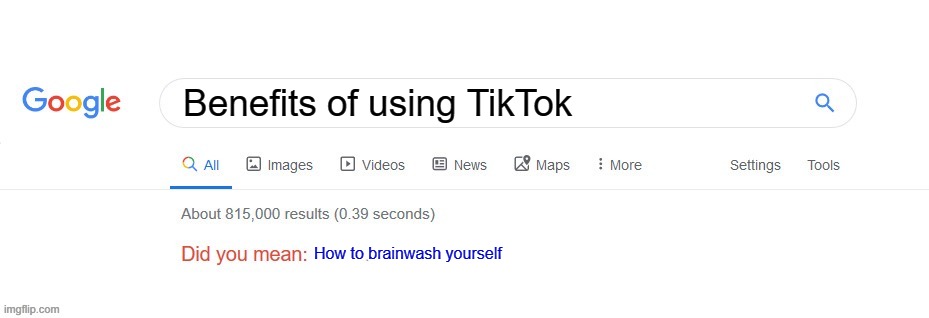 There's a reason why I will NEVER EVER use TikTok | Benefits of using TikTok; How to brainwash yourself | image tagged in did you mean,tiktok,tiktok sucks,google | made w/ Imgflip meme maker