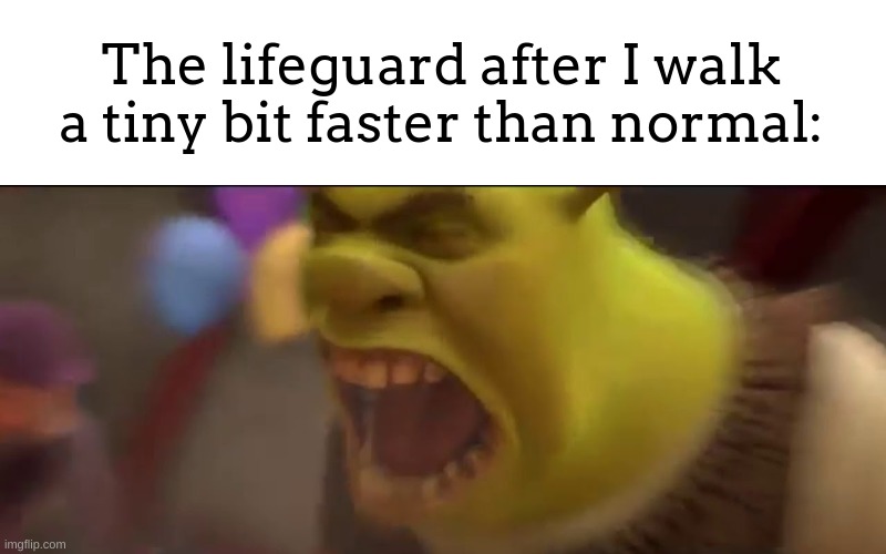 *inhales* WAAAAAAAAAAAAAAAALLLLLLLLLLLLLLKKKKKKKKKKKKK!!!!!!!!!!!!!!! | The lifeguard after I walk a tiny bit faster than normal: | image tagged in shrek screaming | made w/ Imgflip meme maker